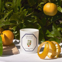 Orangenblütenkerze